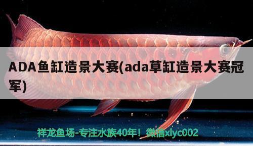 ADA魚(yú)缸造景大賽(ada草缸造景大賽冠軍) 哥倫比亞巨暴魚(yú)苗