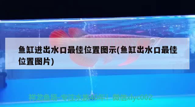 魚缸進出水口最佳位置圖示(魚缸出水口最佳位置圖片) 紅白錦鯉魚