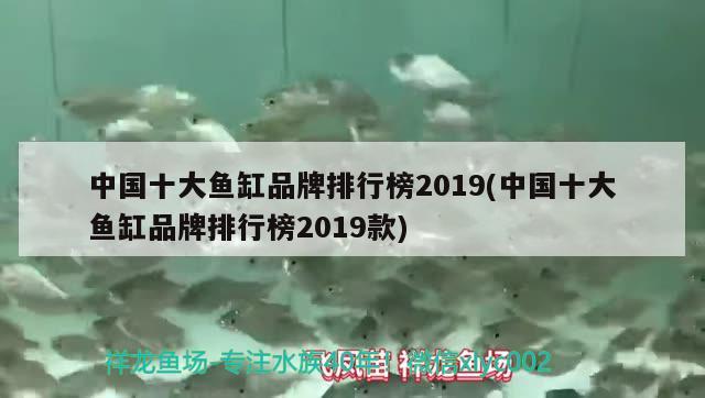 中國(guó)十大魚缸品牌排行榜2019(中國(guó)十大魚缸品牌排行榜2019款) 廣州水族批發(fā)市場(chǎng)