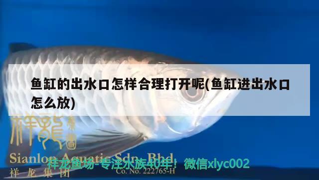 魚缸的出水口怎樣合理打開呢(魚缸進出水口怎么放)