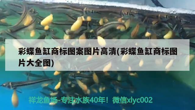 彩蝶魚缸商標圖案圖片高清(彩蝶魚缸商標圖片大全圖)