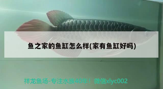 廣元魚(yú)缸訂做（綿陽(yáng)魚(yú)缸訂做） 廣州水族器材濾材批發(fā)市場(chǎng) 第2張