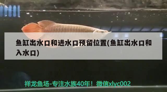 魚缸出水口和進水口預(yù)留位置(魚缸出水口和入水口)