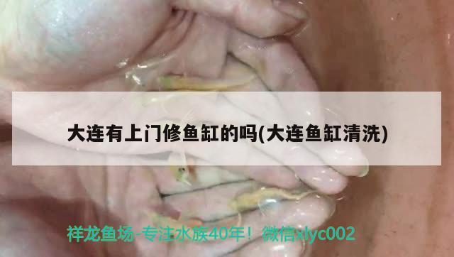 大連有上門修魚缸的嗎(大連魚缸清洗) 觀賞龜/鱉飼料