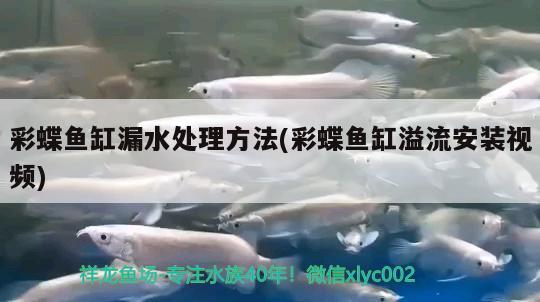 河源水族館你一定是腦子進(jìn)水了才去南京去投資