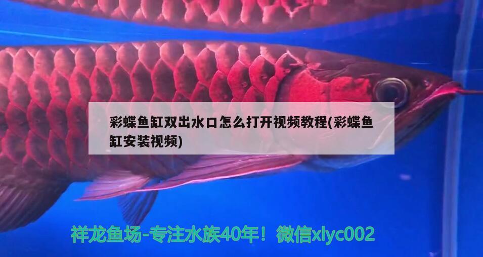 彩蝶魚缸雙出水口怎么打開視頻教程(彩蝶魚缸安裝視頻)