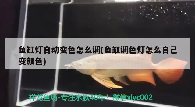 魚缸燈自動(dòng)變色怎么調(diào)(魚缸調(diào)色燈怎么自己變顏色)