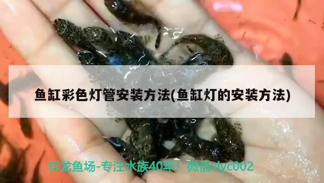 魚缸彩色燈管安裝方法(魚缸燈的安裝方法) 白子銀版魚苗