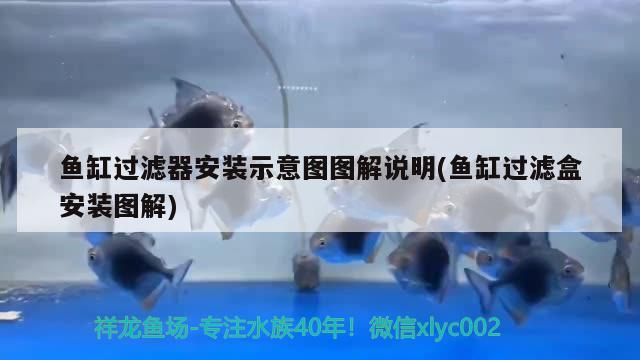 魚缸如何改造保溫箱視頻（ 魚缸包裹保溫） 水族世界 第2張