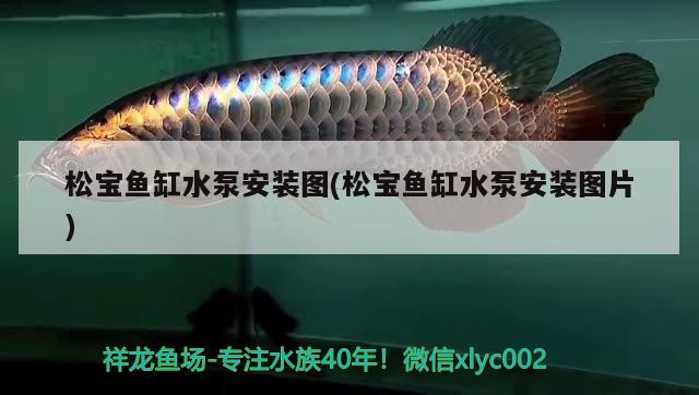 大家覺得閩江水族箱好嗎，魚缸水發(fā)白 魚缸/水族箱 第3張