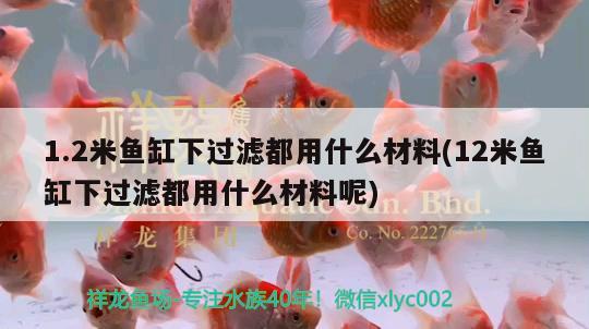 1.2米魚缸下過濾都用什么材料(12米魚缸下過濾都用什么材料呢) 大白鯊魚苗