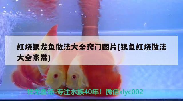 成品上濾魚缸過濾槽濾材怎么放呢，魚缸，自制上濾