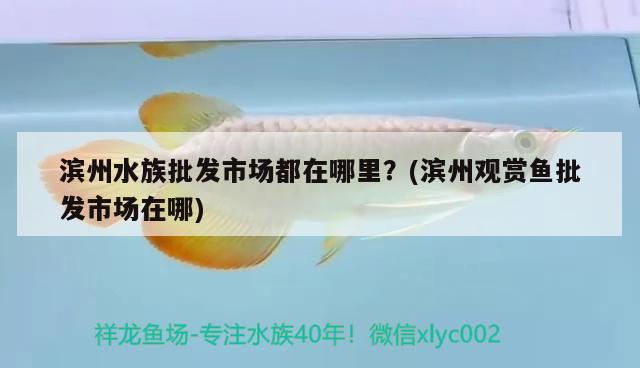 遼中縣肖寨門鎮(zhèn)綠然特種觀賞魚養(yǎng)殖場（遼中縣肖寨門鎮(zhèn)綠然特種觀賞魚養(yǎng)殖場電話）