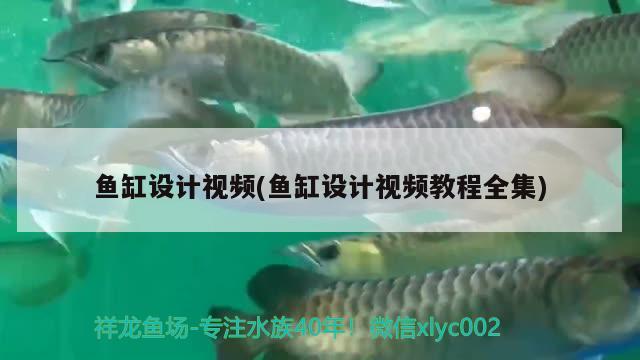 魚缸設(shè)計(jì)視頻(魚缸設(shè)計(jì)視頻教程全集)