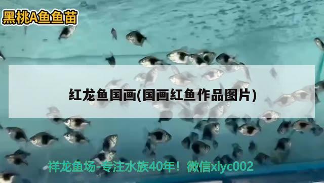 大家覺得閩江水族箱好嗎，魚缸水發(fā)白