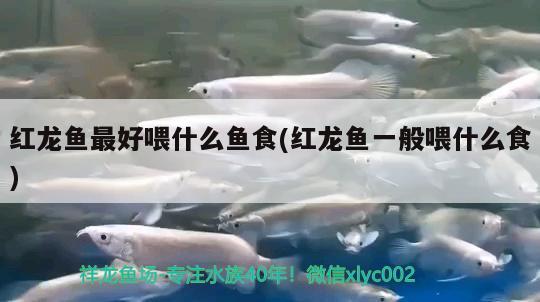 日創(chuàng)魚缸型號(hào)及其價(jià)格日創(chuàng)魚缸型號(hào)及其價(jià)格圖片型號(hào)，日創(chuàng)魚缸型號(hào)及價(jià)格及價(jià)格圖片