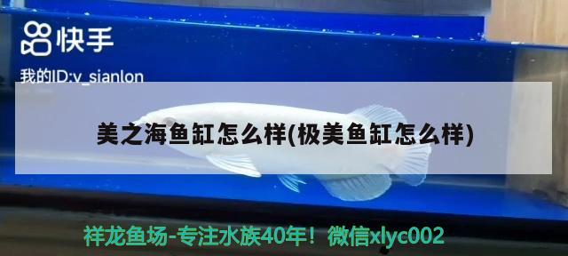 美之海魚缸怎么樣(極美魚缸怎么樣) 廣州水族器材濾材批發(fā)市場(chǎng)