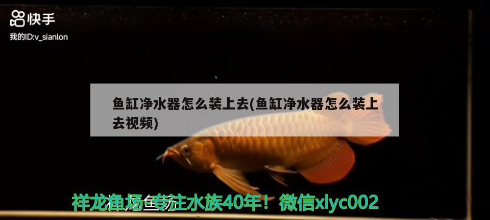 魚缸凈水器怎么裝上去(魚缸凈水器怎么裝上去視頻)