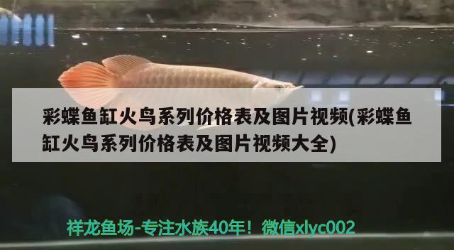 森森魚缸燈老是自動(dòng)亮怎么關(guān)閉(森森魚缸關(guān)閉自動(dòng)開燈)