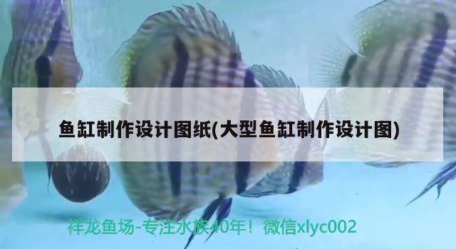 魚缸制作設計圖紙(大型魚缸制作設計圖) 照明器材