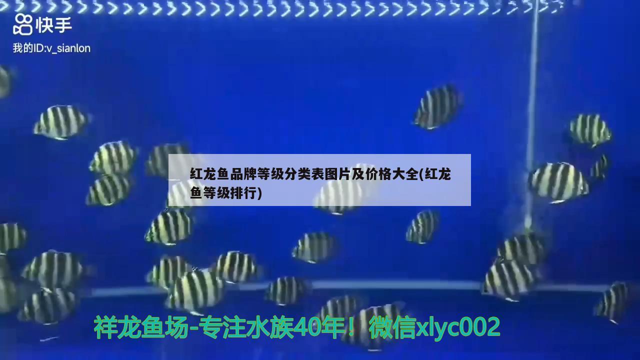 什么牌子魚缸濾材好(哪種魚缸濾材好)