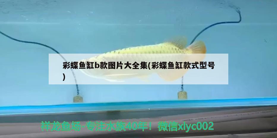 彩蝶魚缸b款圖片大全集(彩蝶魚缸款式型號)