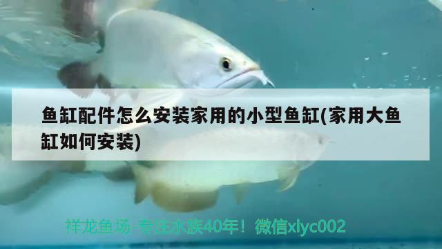 魚缸配件怎么安裝家用的小型魚缸(家用大魚缸如何安裝)