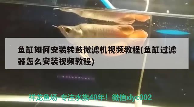 為什么可麗愛魚缸這么貴(可麗愛魚缸最便宜的多少錢)