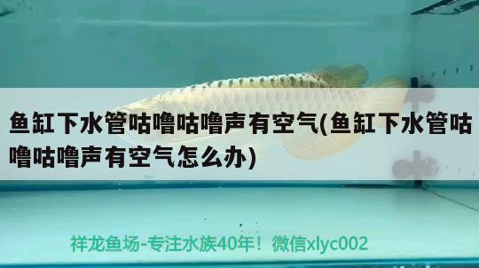 十堰市凱歌動物醫(yī)藥(孫濤店) 全國水族館企業(yè)名錄 第3張