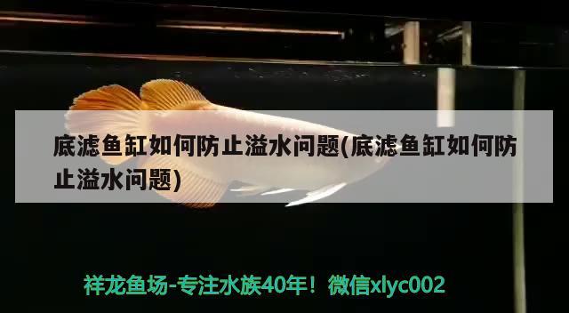 底濾魚缸如何防止溢水問題(底濾魚缸如何防止溢水問題)