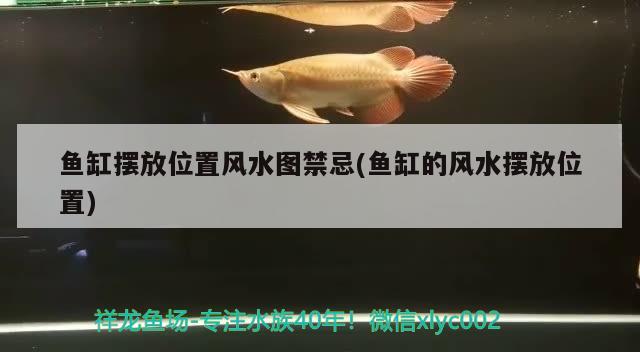 魚缸擺放位置風(fēng)水圖禁忌(魚缸的風(fēng)水?dāng)[放位置)