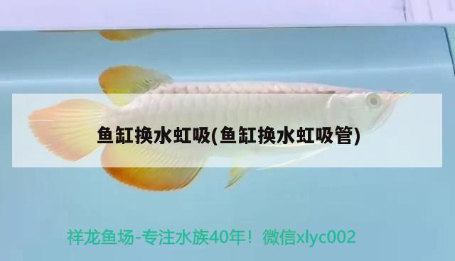 魚缸換水虹吸(魚缸換水虹吸管) 金龍魚糧