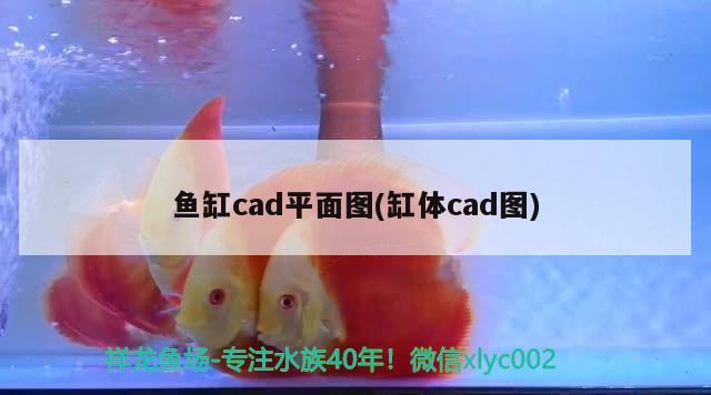 魚(yú)缸cad平面圖(缸體cad圖) 水族世界