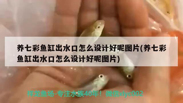 三色珍珠項(xiàng)鏈：珍珠項(xiàng)鏈三件套 觀賞魚 第2張