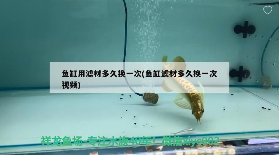 龍魚(yú)水溫多少度適宜，龍魚(yú)水溫多少合適