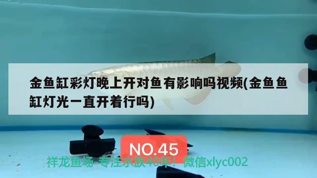 閑魚買魚缸怎么搬運（閑魚買魚缸怎么搬運的） 觀賞魚 第1張