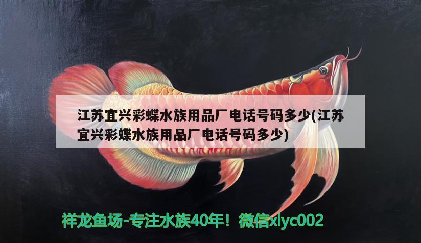 彩蝶魚缸出水口鴨嘴多大管(彩蝶魚缸下水管道尺寸) 孵化器