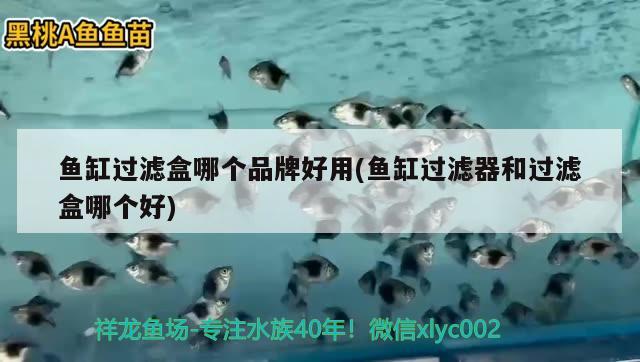 南昌魚缸定做哪家價格實在，南昌定做魚缸找哪家做價格實惠