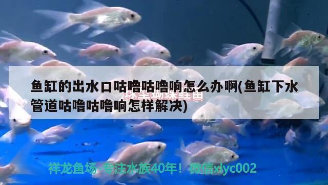 魚缸的出水口咕嚕咕嚕響怎么辦啊(魚缸下水管道咕嚕咕嚕響怎樣解決) 祥龍龍魚專用水族燈