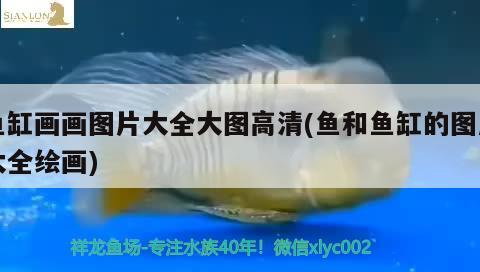 全國魚缸十大品牌排名榜前十名：中國魚缸品牌