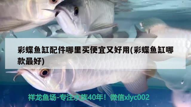 三種人不宜戴珍珠：珍珠最不值錢的顏色 觀賞魚 第1張