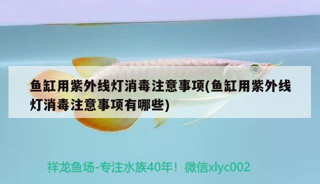 魚(yú)缸用紫外線燈消毒注意事項(xiàng)(魚(yú)缸用紫外線燈消毒注意事項(xiàng)有哪些) 月光鴨嘴魚(yú)