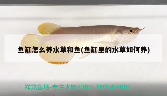 韶關(guān)魚缸定做店電話地址查詢（韶關(guān)魚缸定做店電話地址查詢大全） 全國水族館企業(yè)名錄 第3張