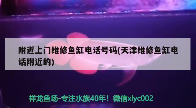 附近上門維修魚缸電話號碼(天津維修魚缸電話附近的) 鐵甲武士