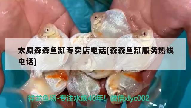 太原森森魚缸專賣店電話(森森魚缸服務(wù)熱線電話)