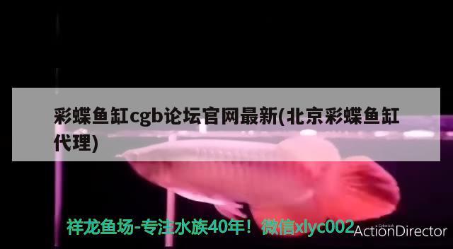 彩蝶魚缸cgb論壇官網(wǎng)最新(北京彩蝶魚缸代理)