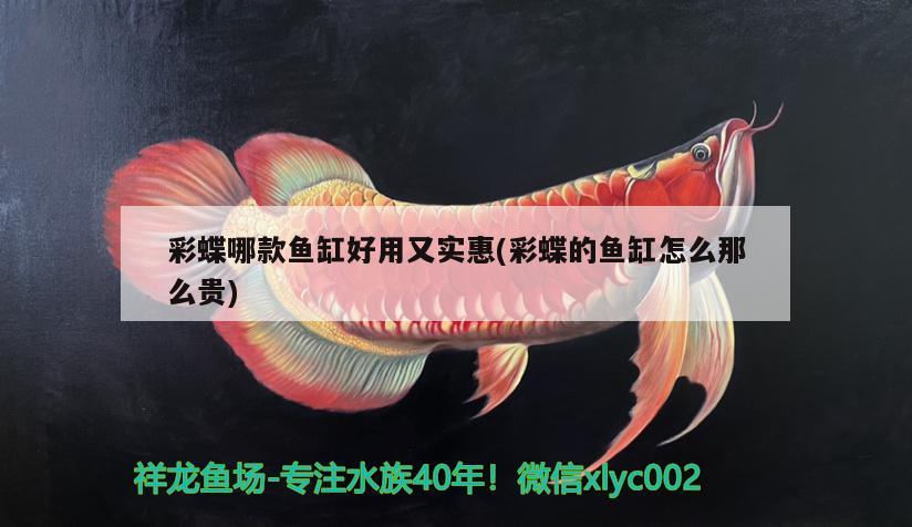 彩蝶哪款魚缸好用又實惠(彩蝶的魚缸怎么那么貴)