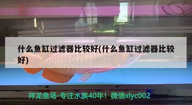 什么魚缸過濾器比較好(什么魚缸過濾器比較好) ?；?異型虎魚/純色虎魚 第3張