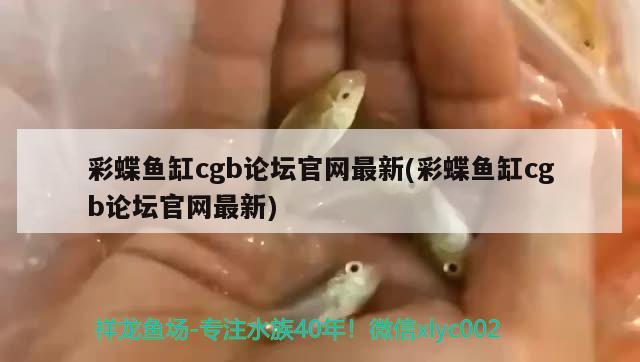 紅龍魚生長周期是多少天啊(紅龍魚生長周期是多少天啊)