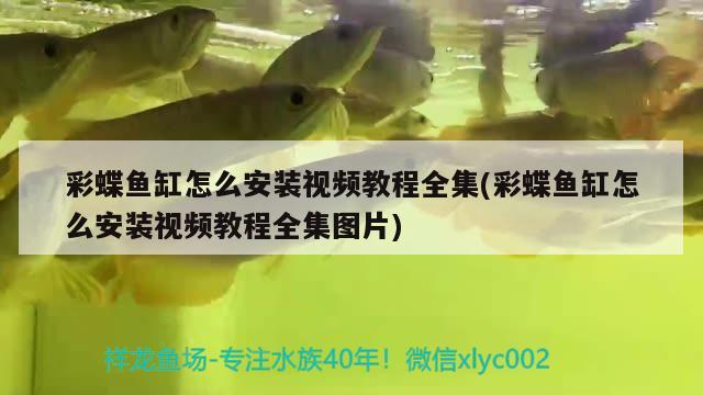 彩蝶魚缸怎么安裝視頻教程全集(彩蝶魚缸怎么安裝視頻教程全集圖片)